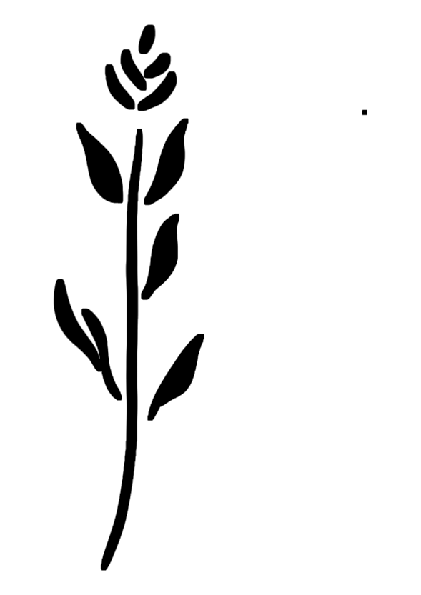 Fleur des Champs
