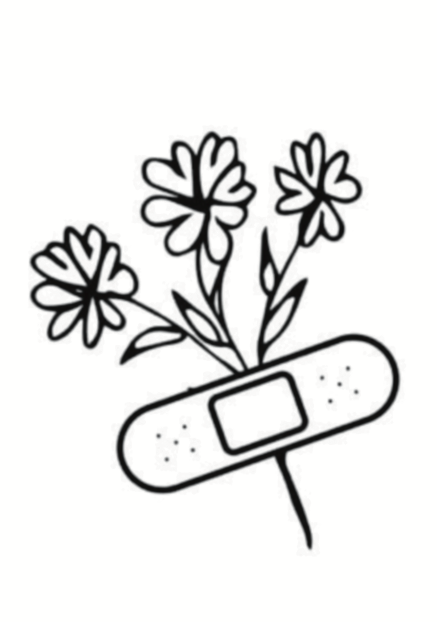 Floraison De Coton