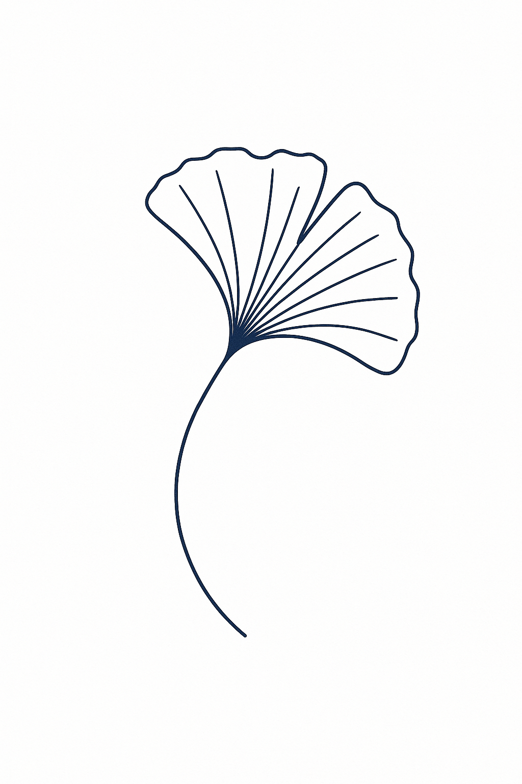 Ginko de Chine