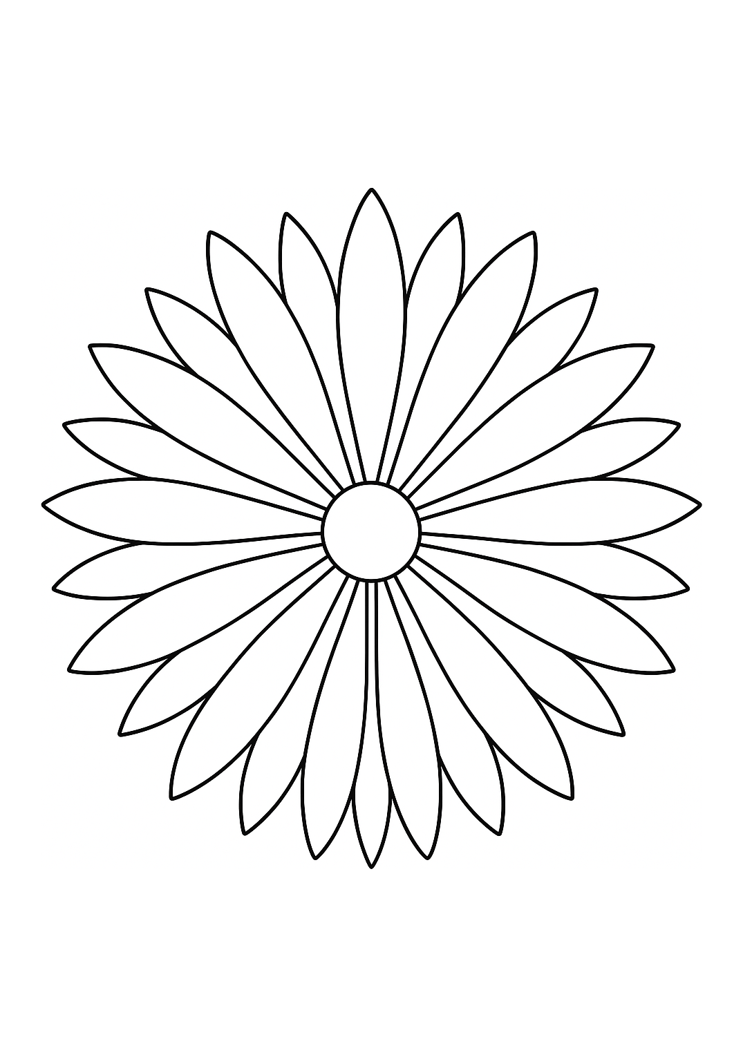 Glaïeul de Provence