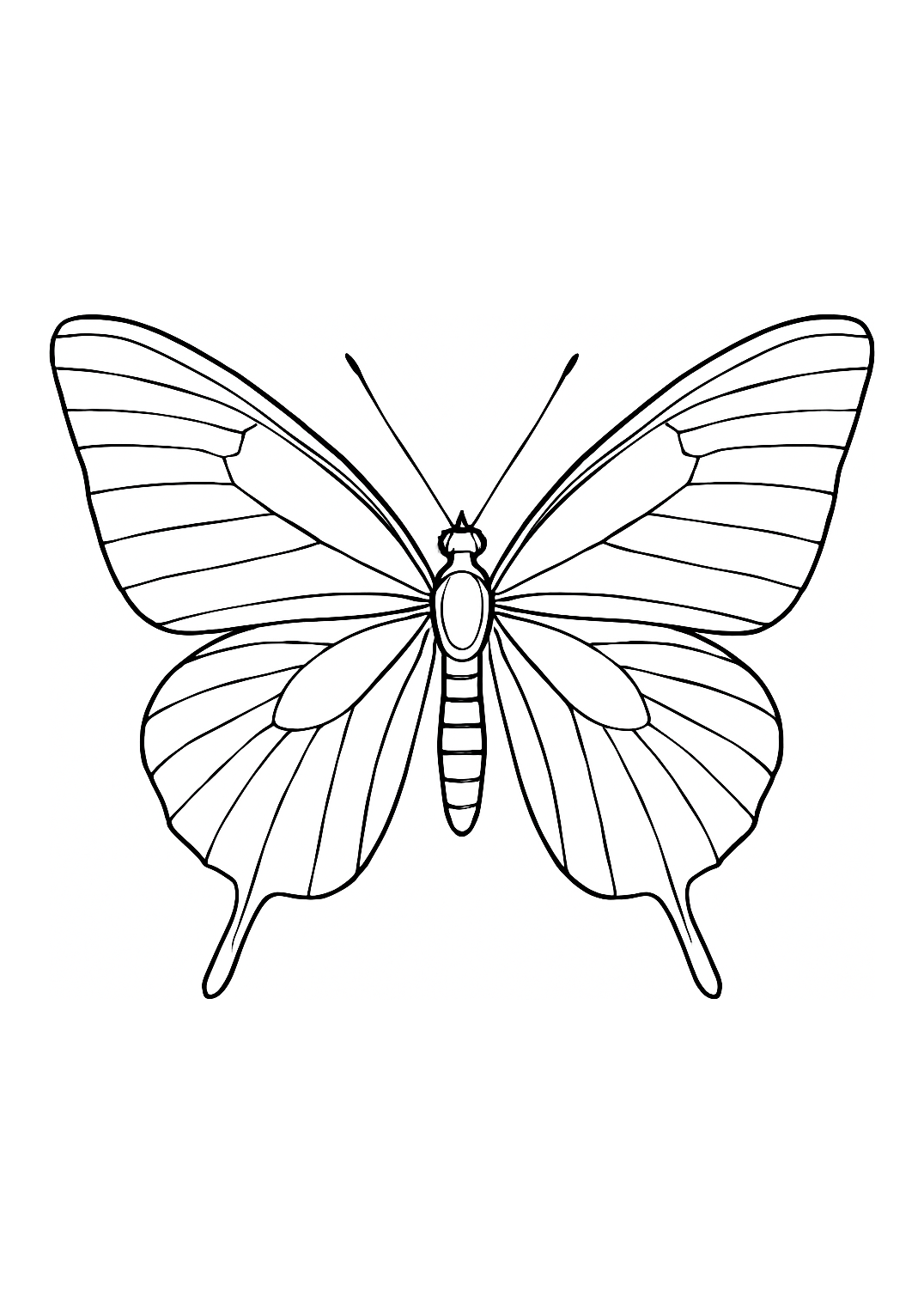 Hirondelle de l’Adriatique