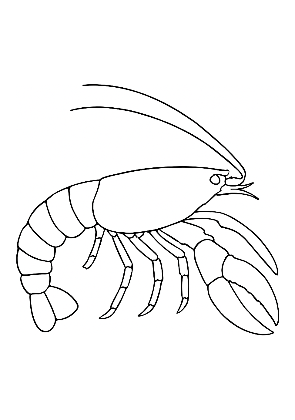 Homard d’Armorique
