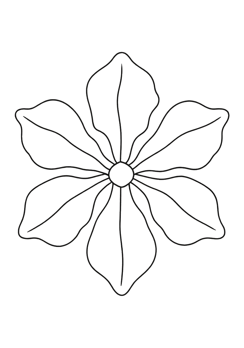 Iris de Florence