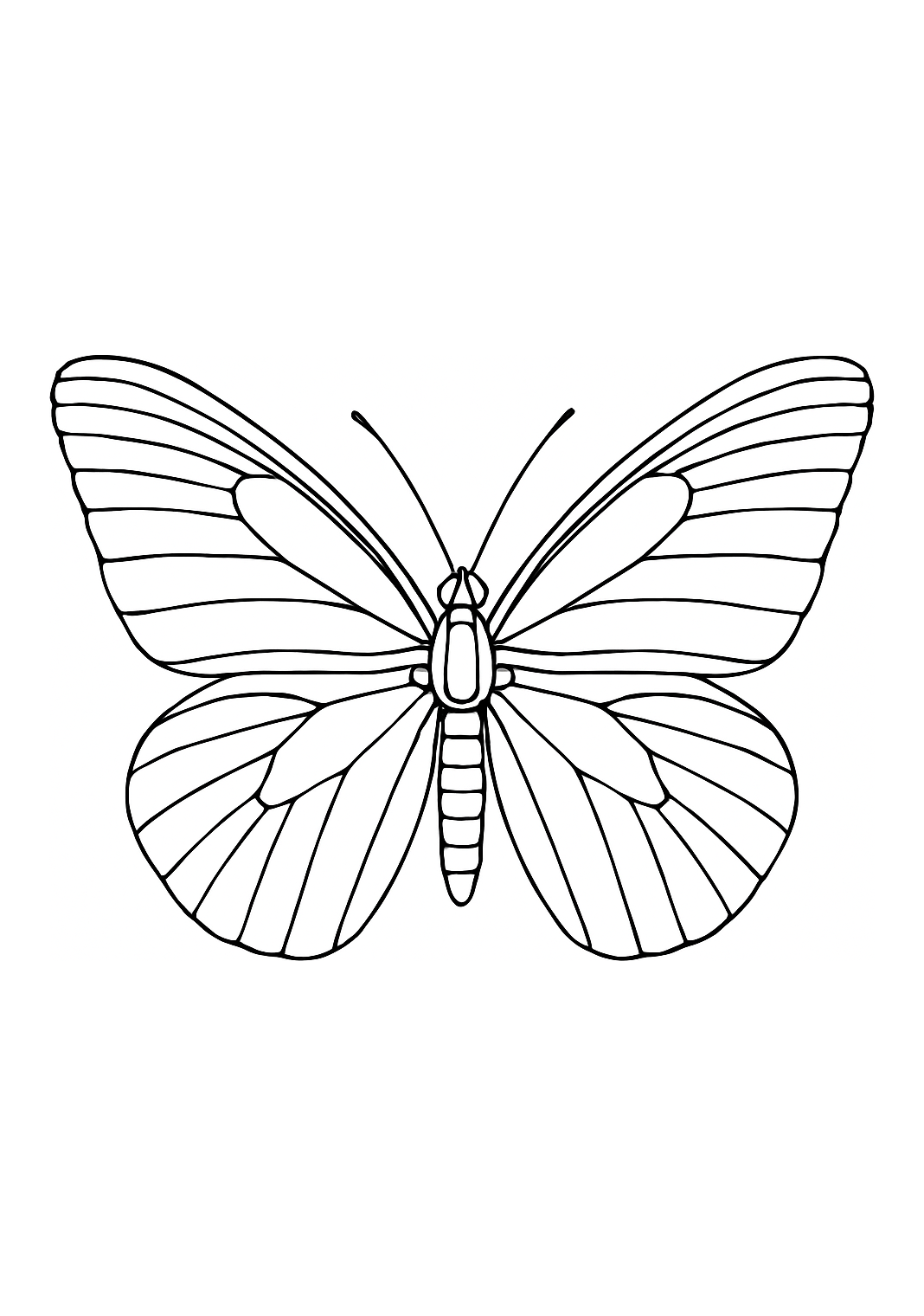 Libellule d’Atlas
