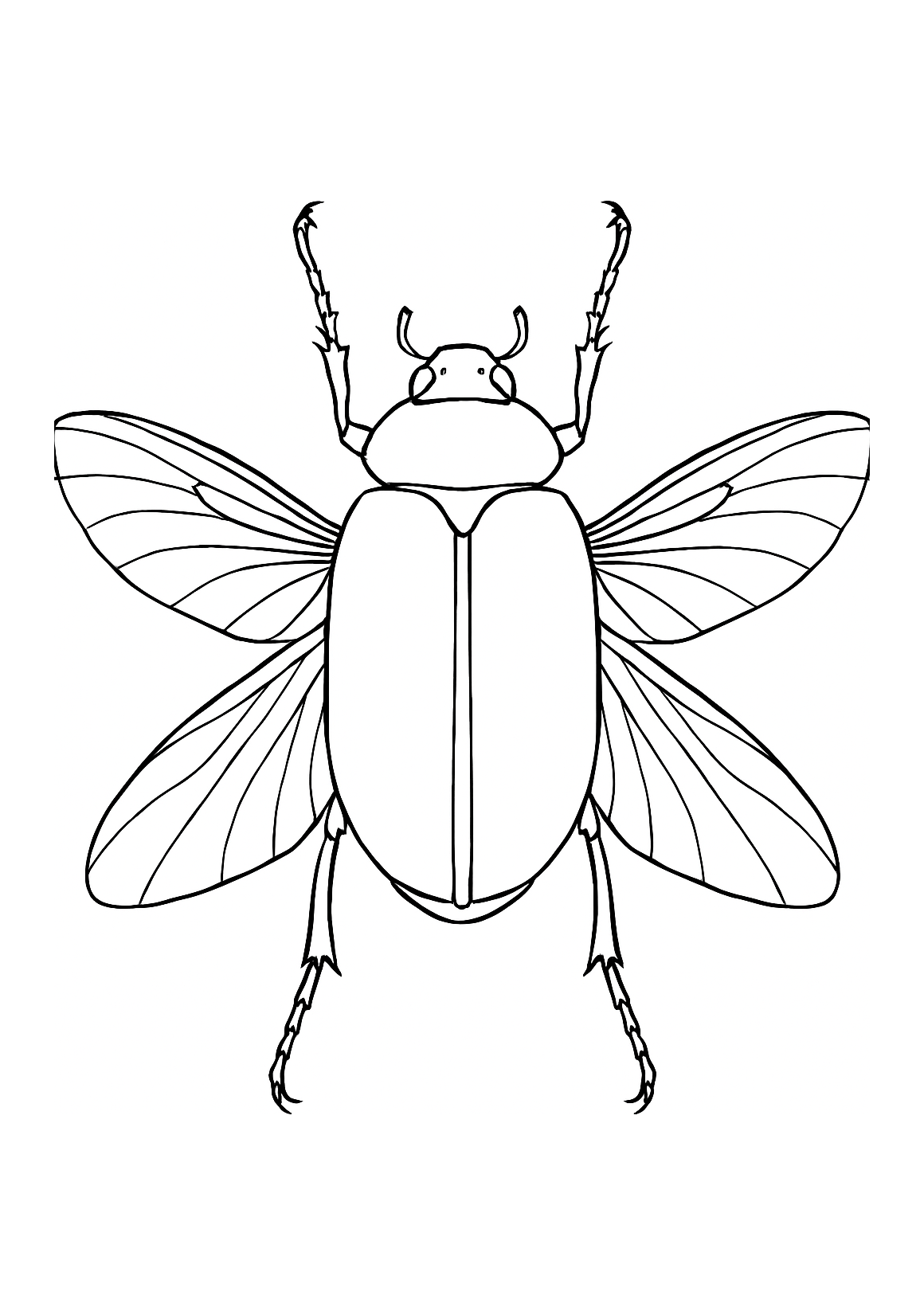 Libellule d’Émeraude de Samos