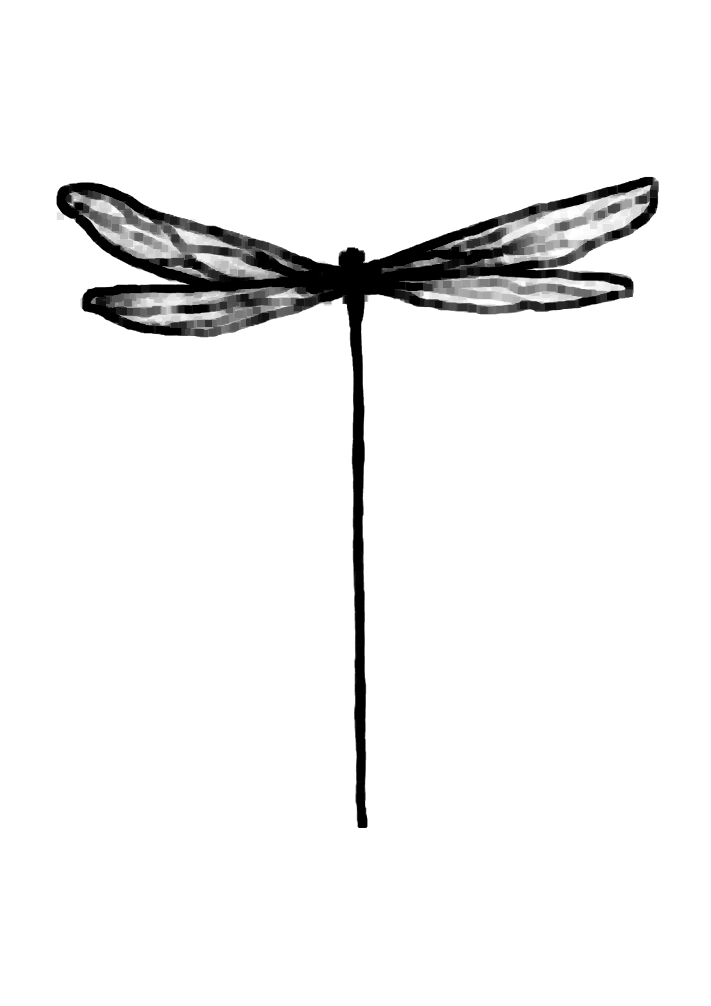 Libellule du Verdon