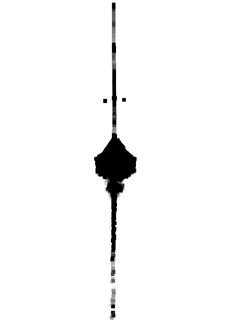 Lignes de Flottaison