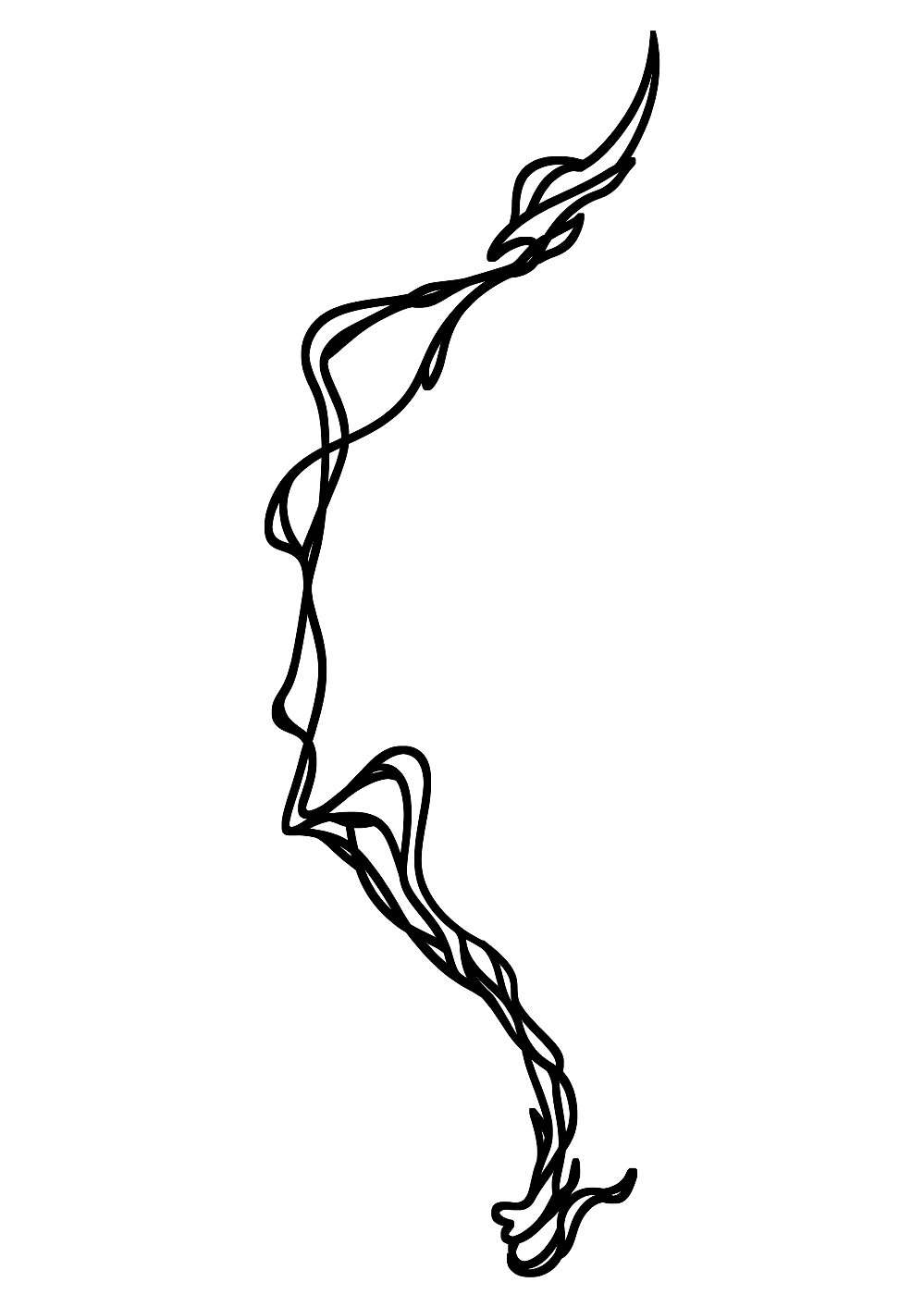 Lignes de Force