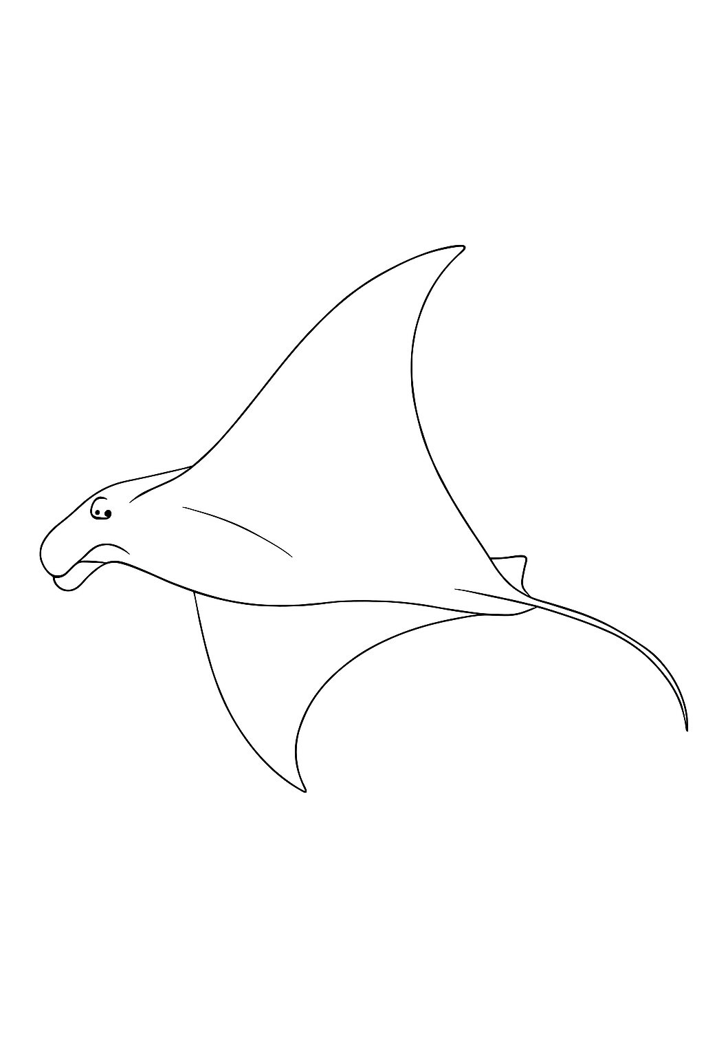Manta des Maldives