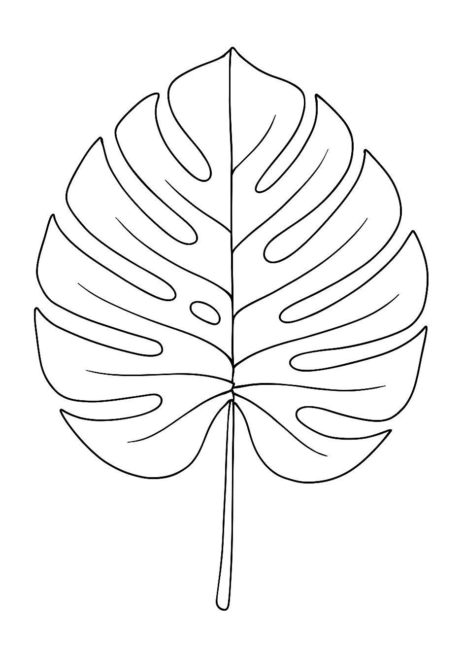 Monstera de Cartagena