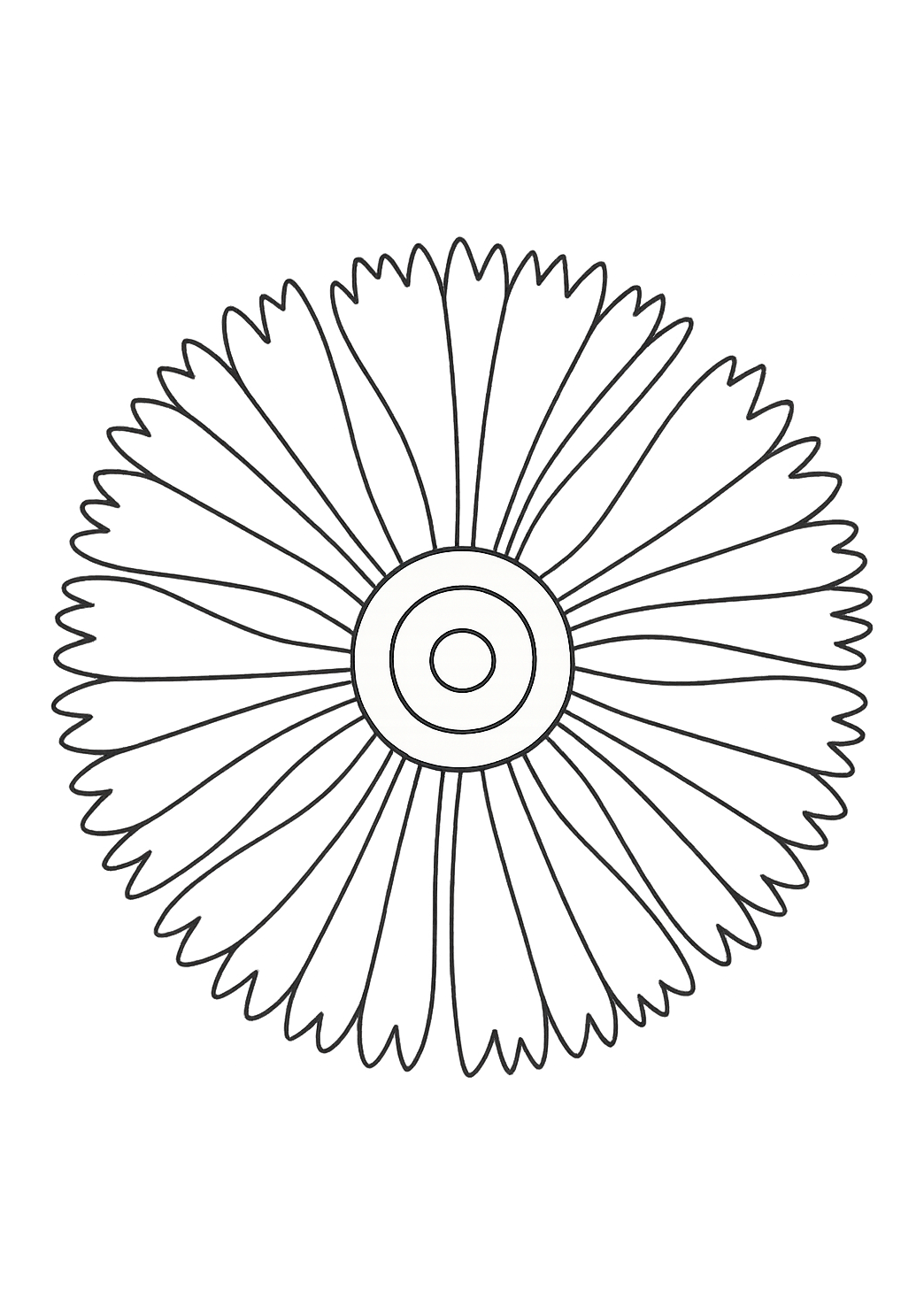 Oeillet de Grasse