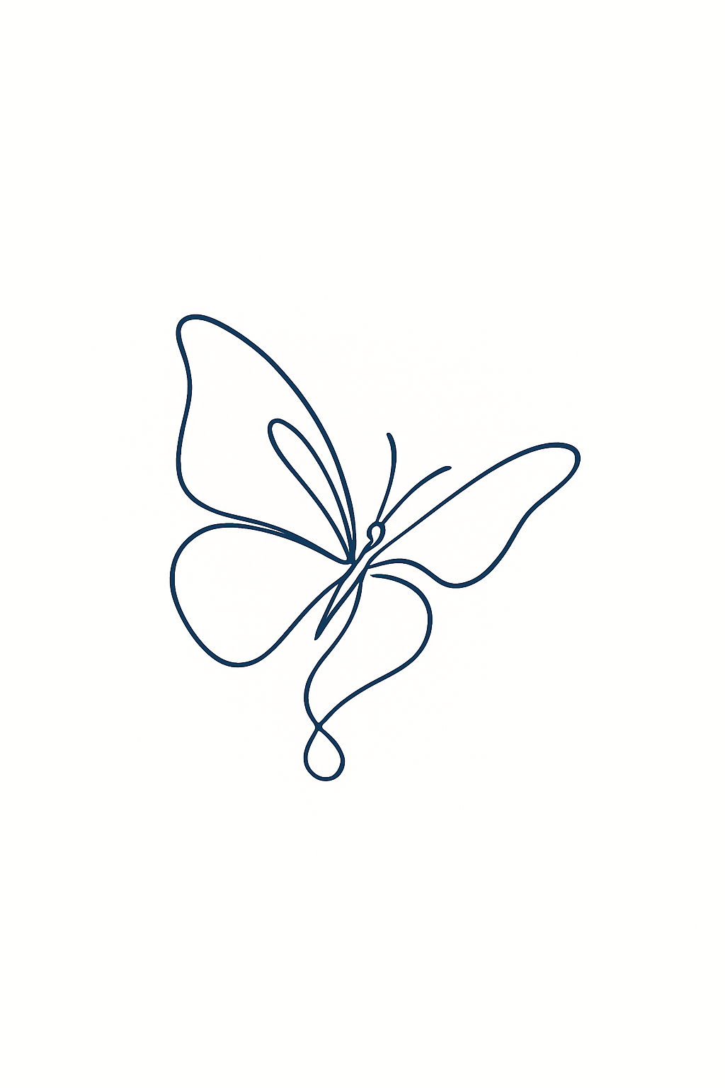 Papillon de Merzouga