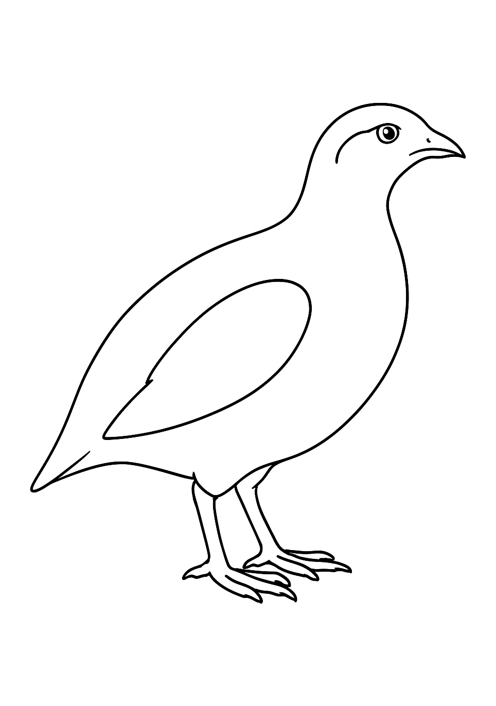 Perdrix de Sologne
