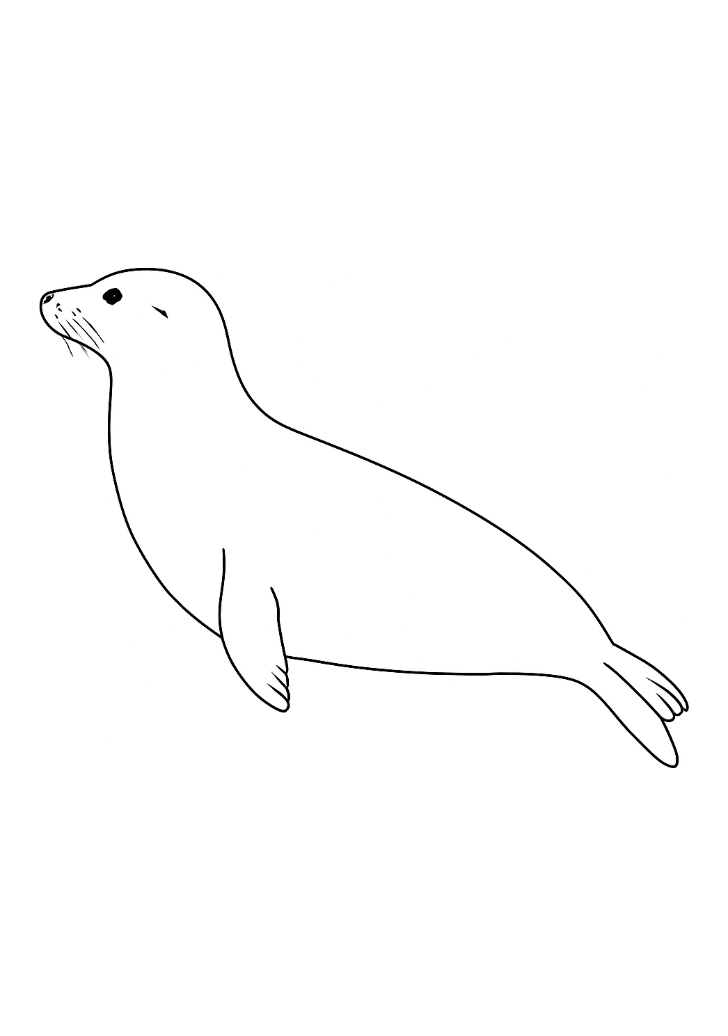 Phoque de l’Arctique