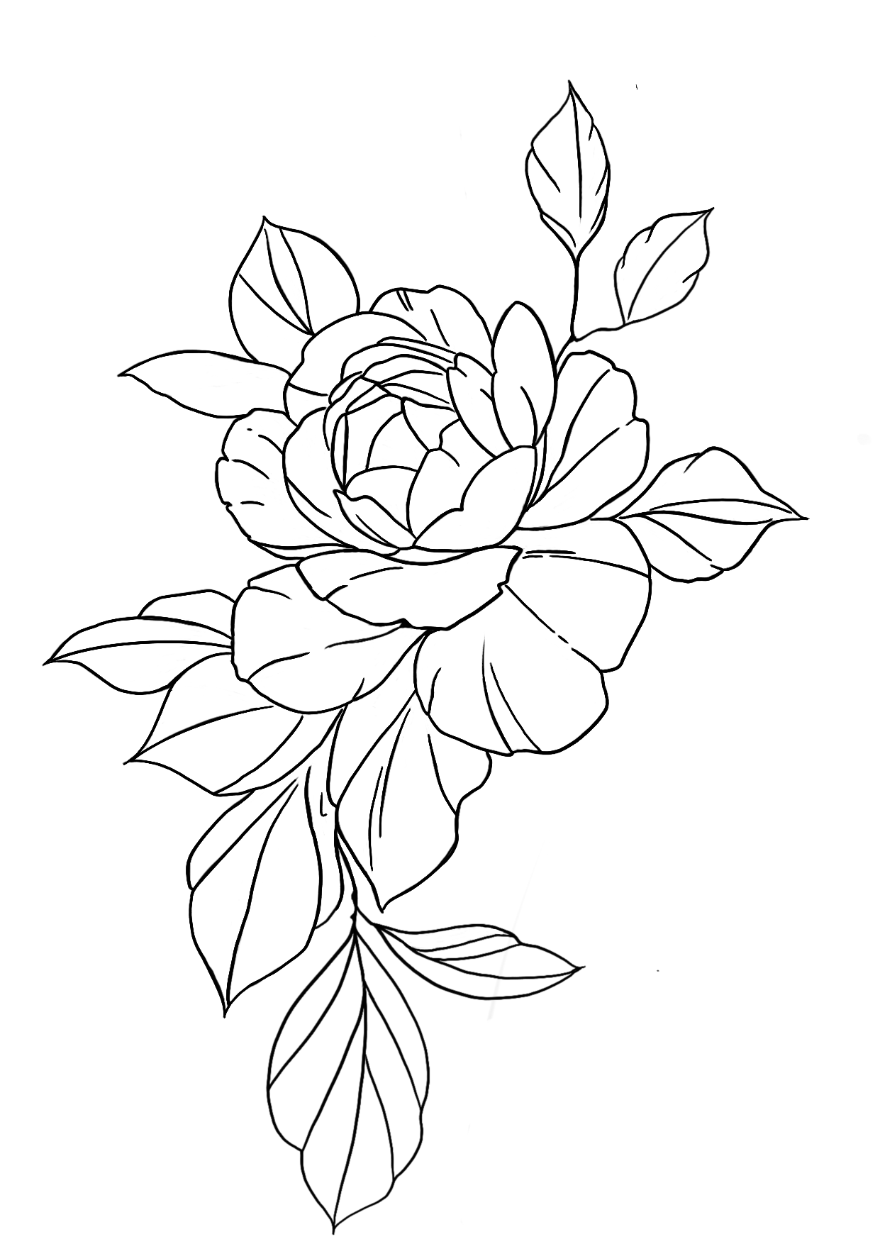 Pivoine D'Avril