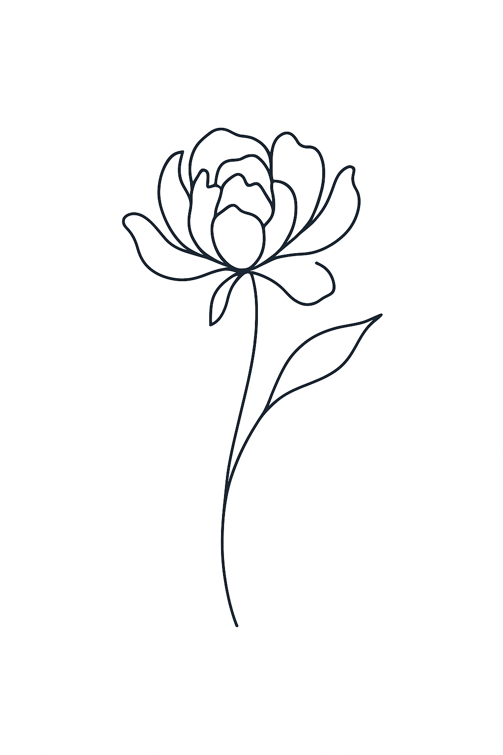 Pivoine D'Ambre
