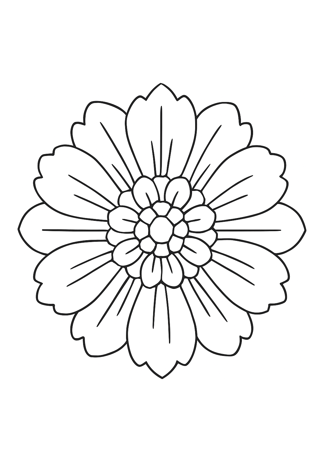 Pivoine des Cévennes