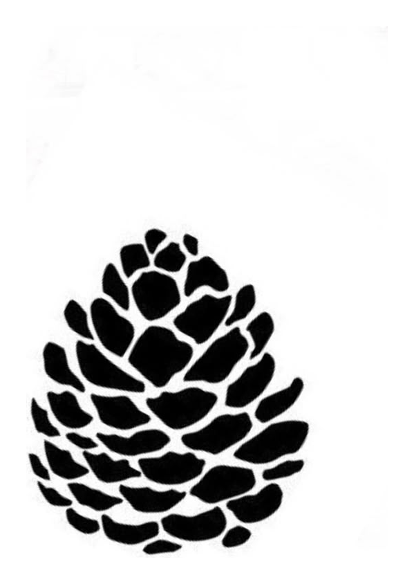 Pomme de Pin