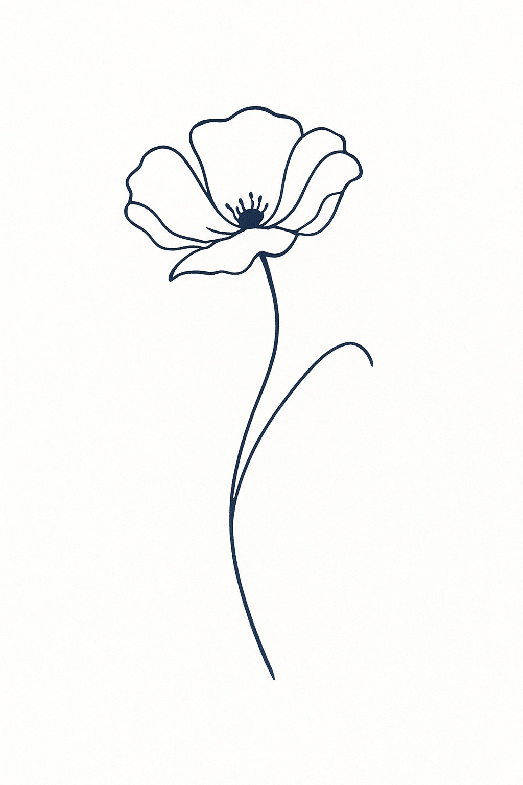 Coquelicot des Flandres