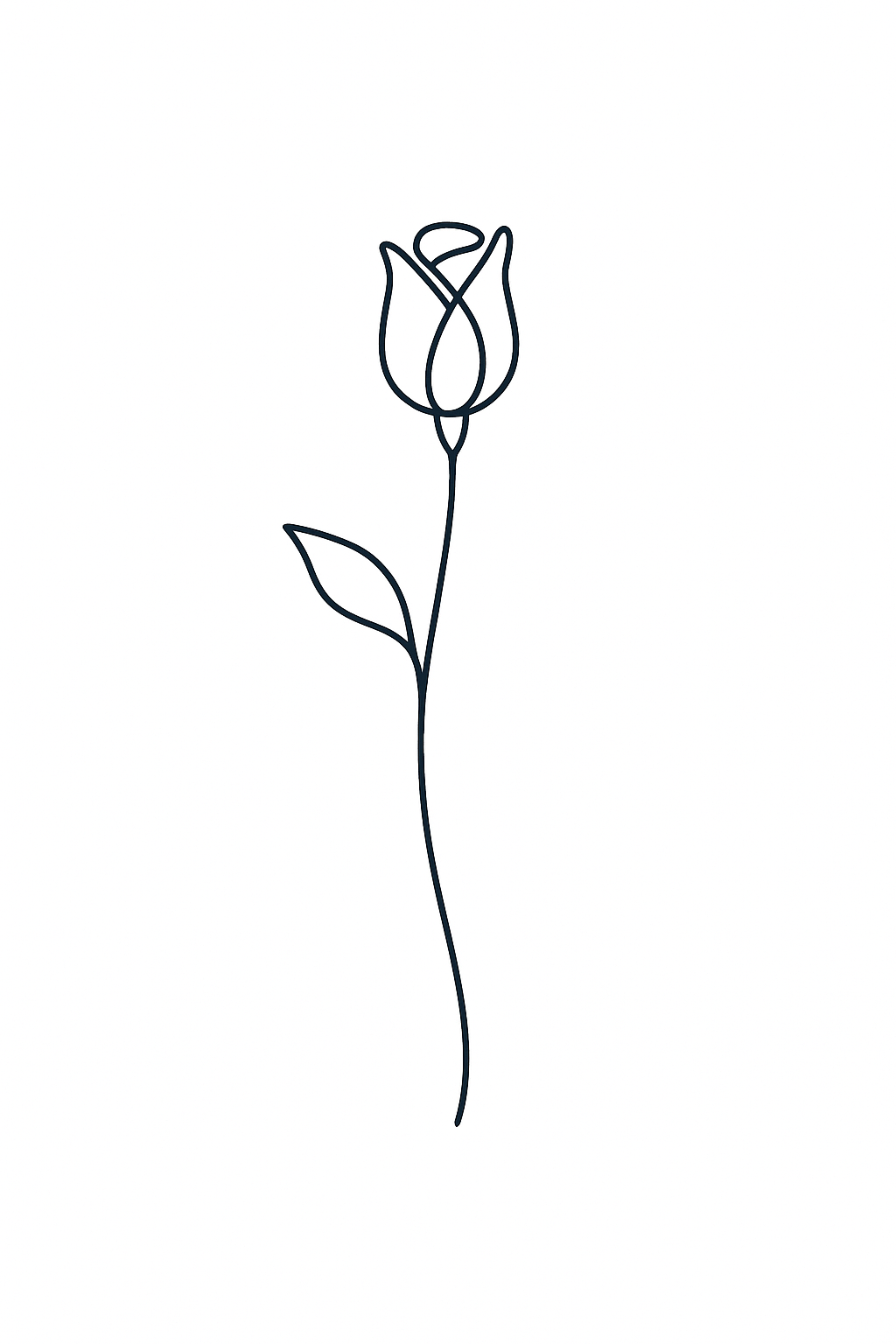 Rose De Minuit
