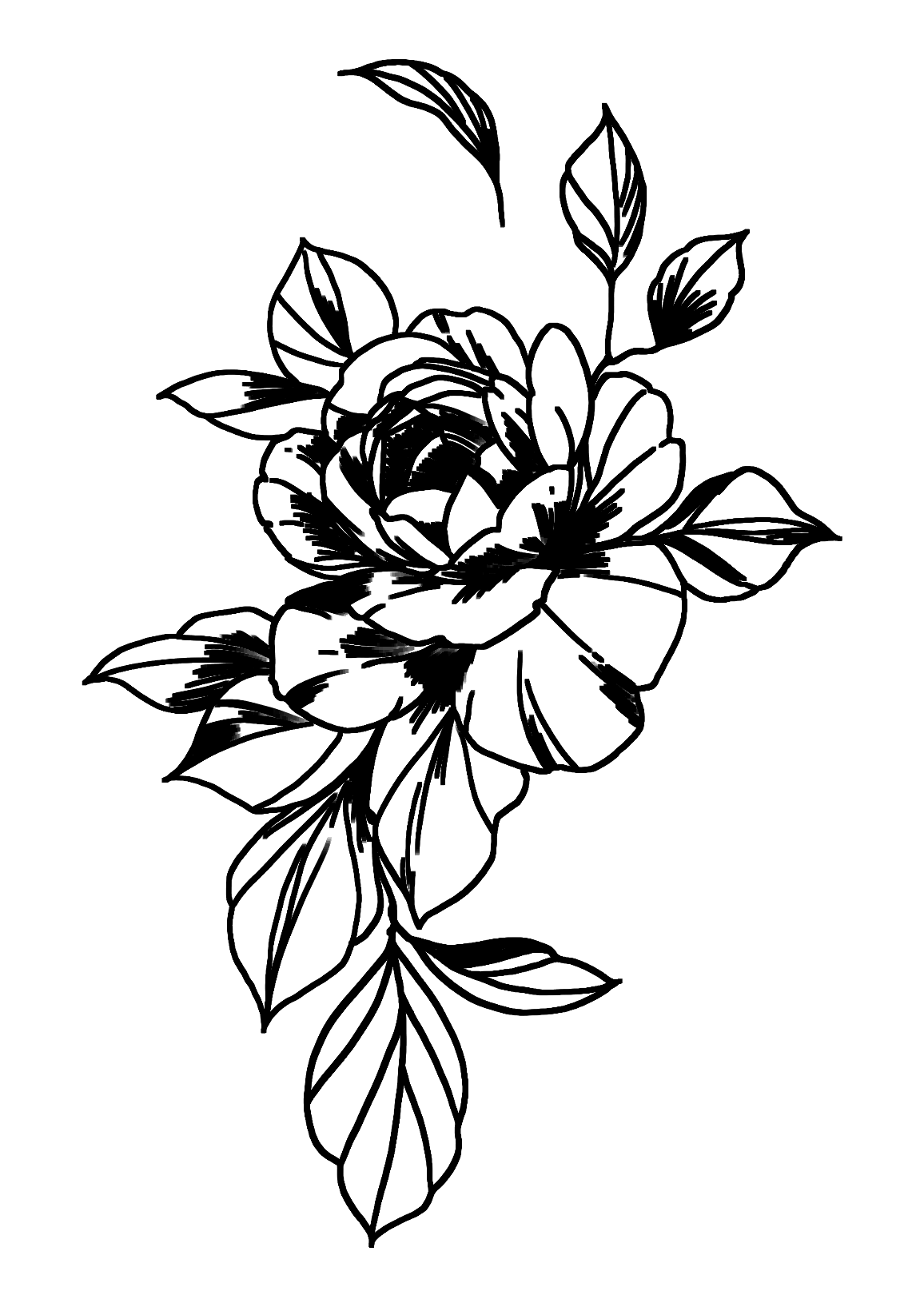Rose de Damas