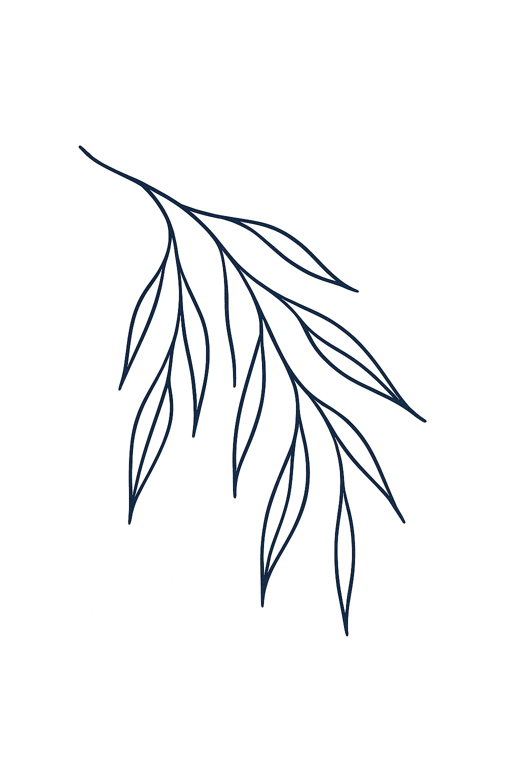Saule De Kyoto
