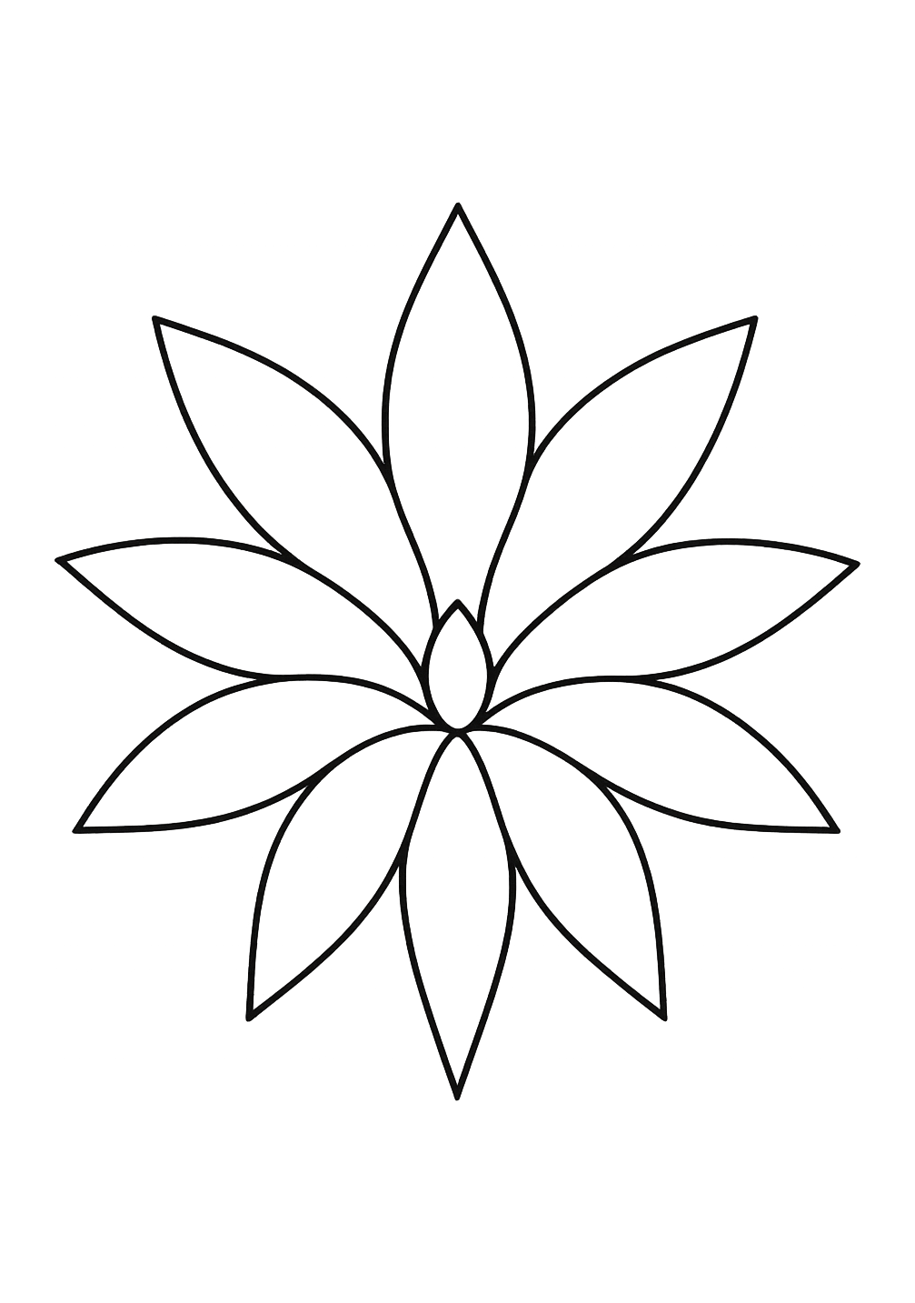 Strelitzia du Cap de Bonne-Espérance
