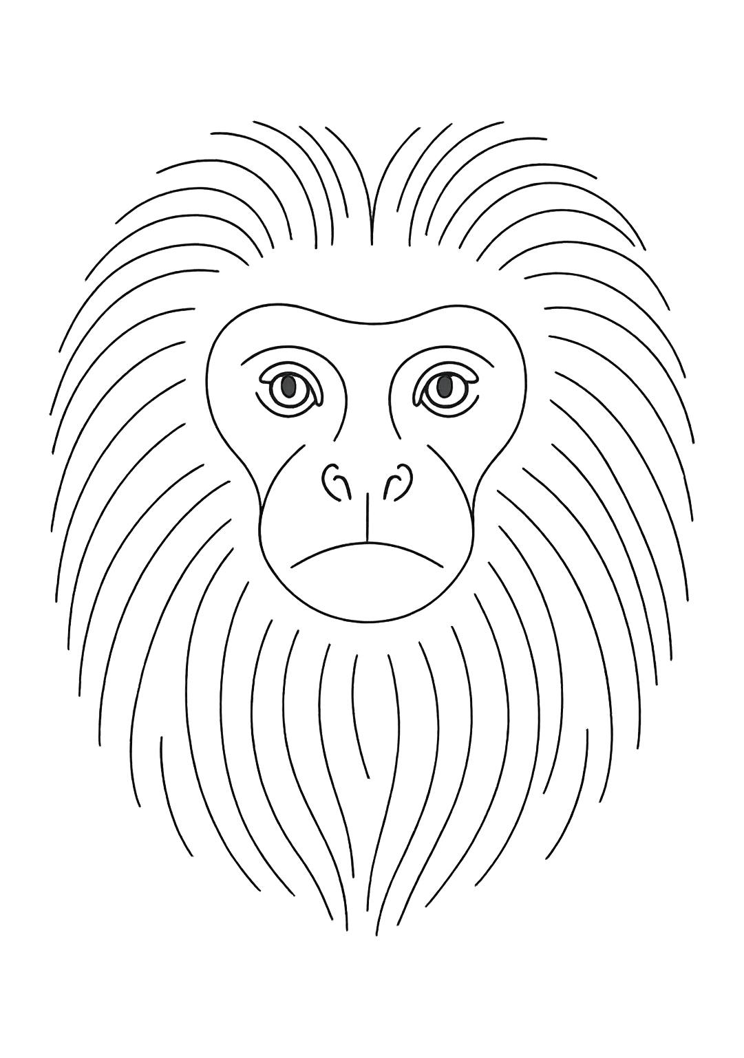 Tamarin de Madagascar