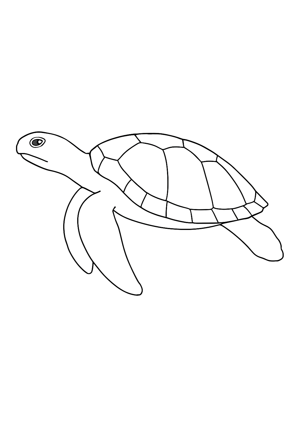 Tortue des Seychelles