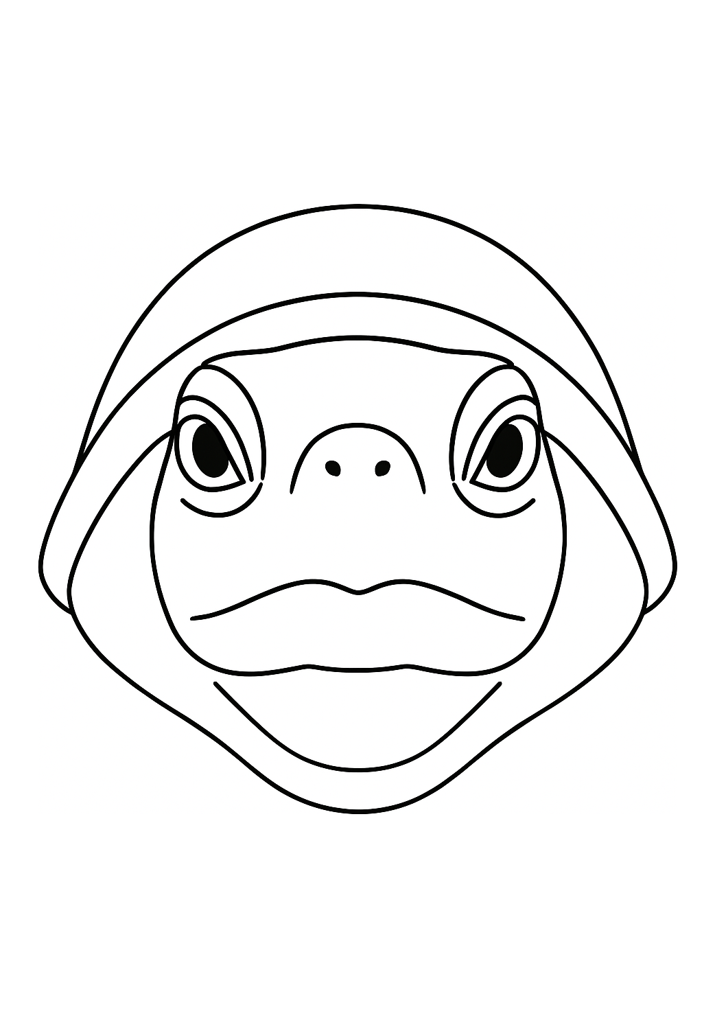 Tortue du Luberon