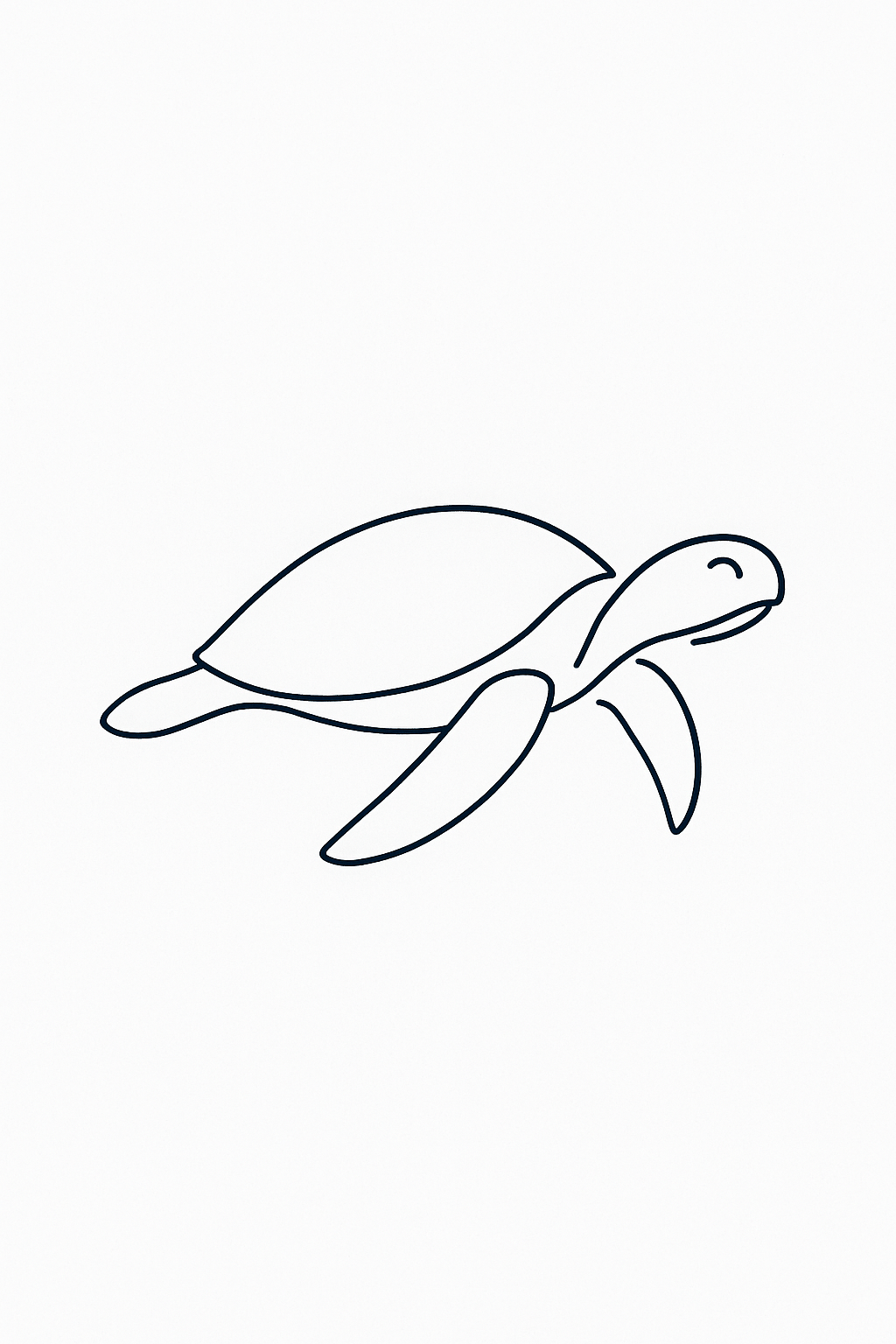 Tortue de Comporta