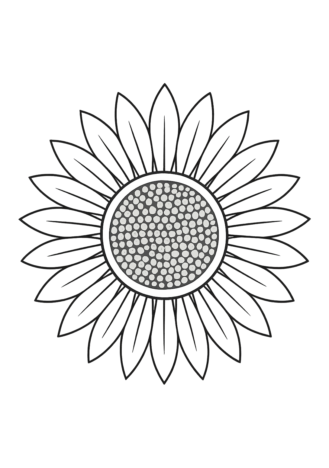 Tournesol de Provence