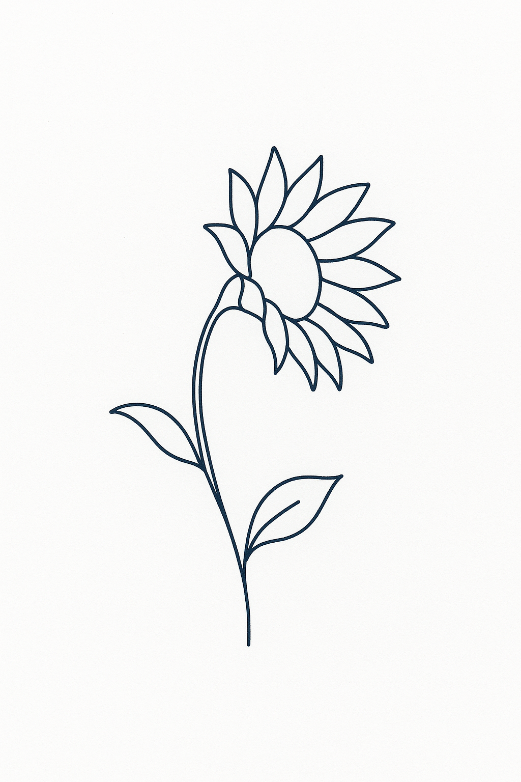 Tournesol d’Arles